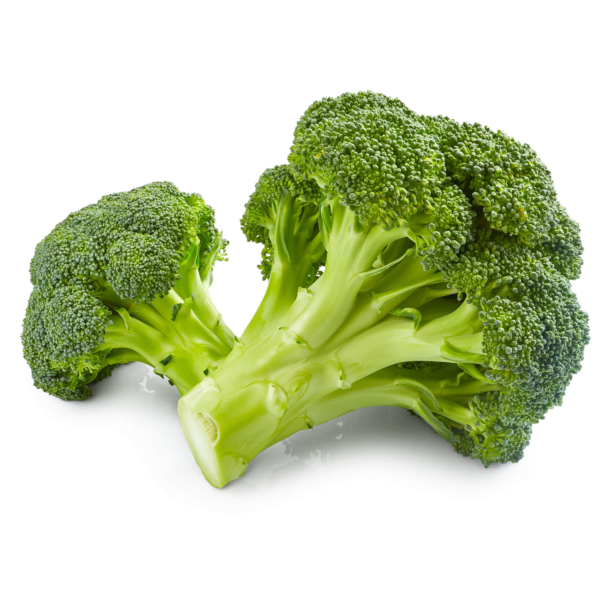 broccoli-kopen-bij-de-boer-vitaminehoek-de-kragge-meliskerke-walcheren-zeeland