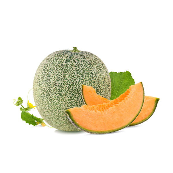 Meloen Cantaloupe, per stuk