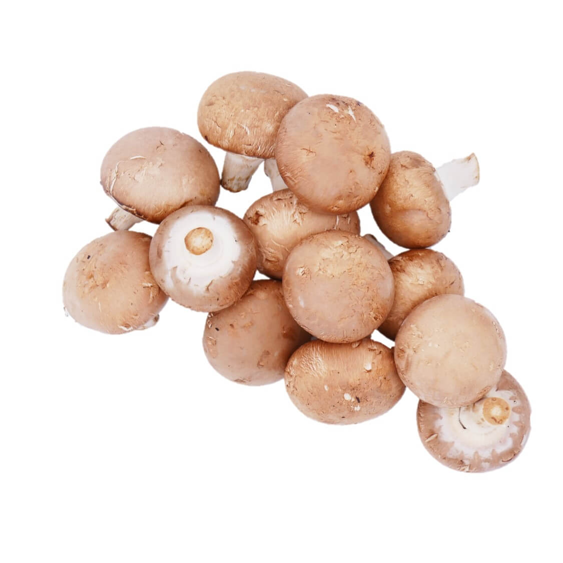 Kopen-bij-de-Boer-Vitaminehoek-De-Kragge-Meliskerke-Walcheren-Zeeland-champignons-kastanje