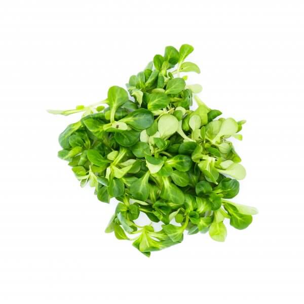 Veldsla, 100 gram