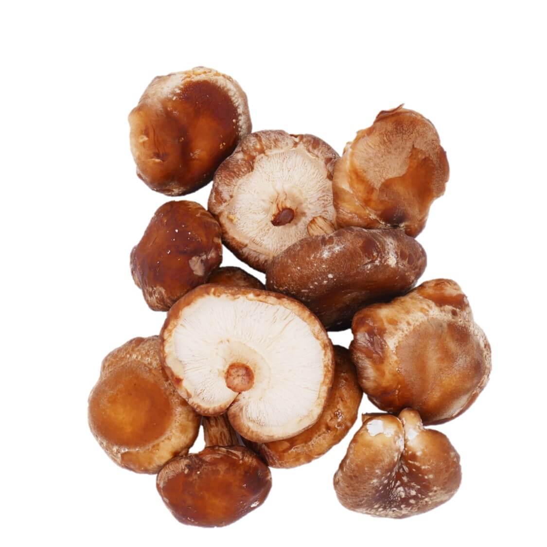 Kopen-bij-de-Boer-Vitaminehoek-De-Kragge-Meliskerke-Walcheren-Zeeland-shiitake