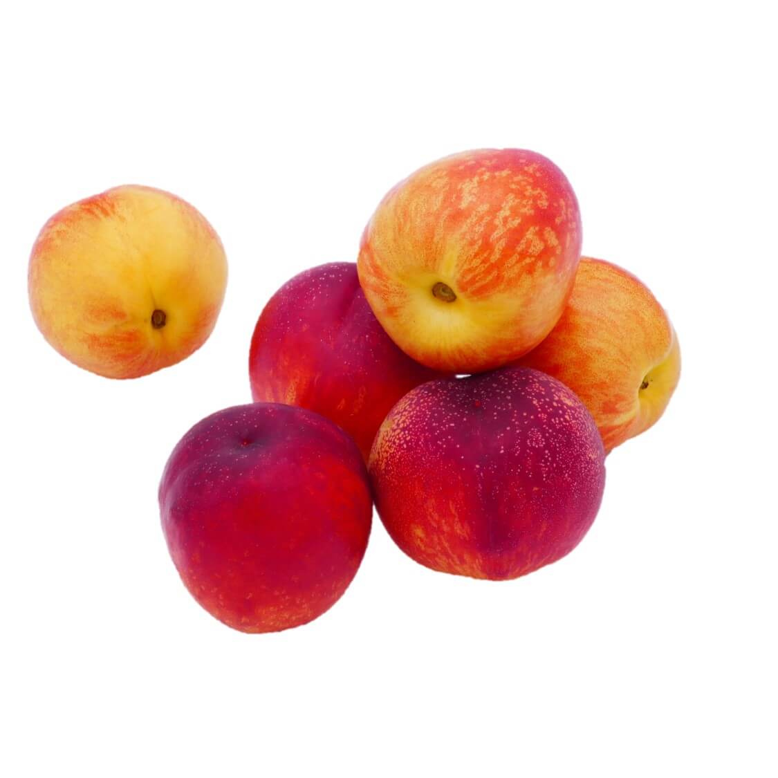 Kopen-bij-de-Boer-Vitaminehoek-De-Kragge-Meliskerke-Walcheren-nectarines