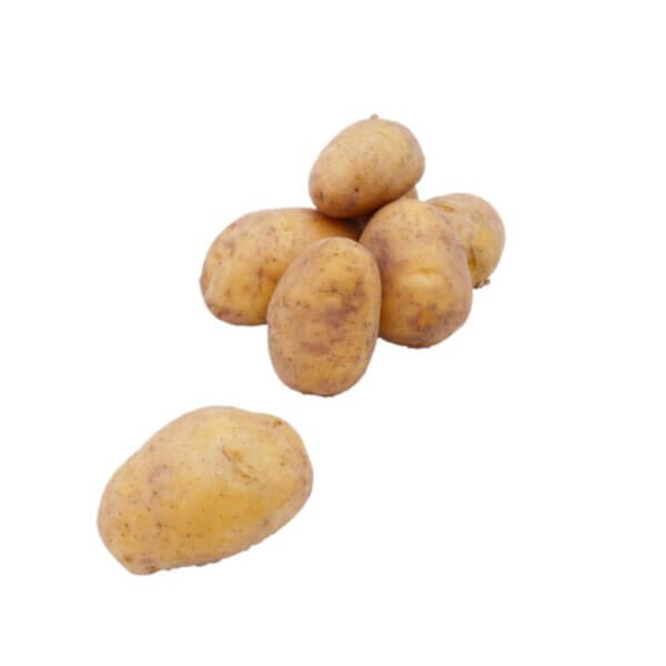 Aardappelen Frieslander nieuwe oogst 1 kg