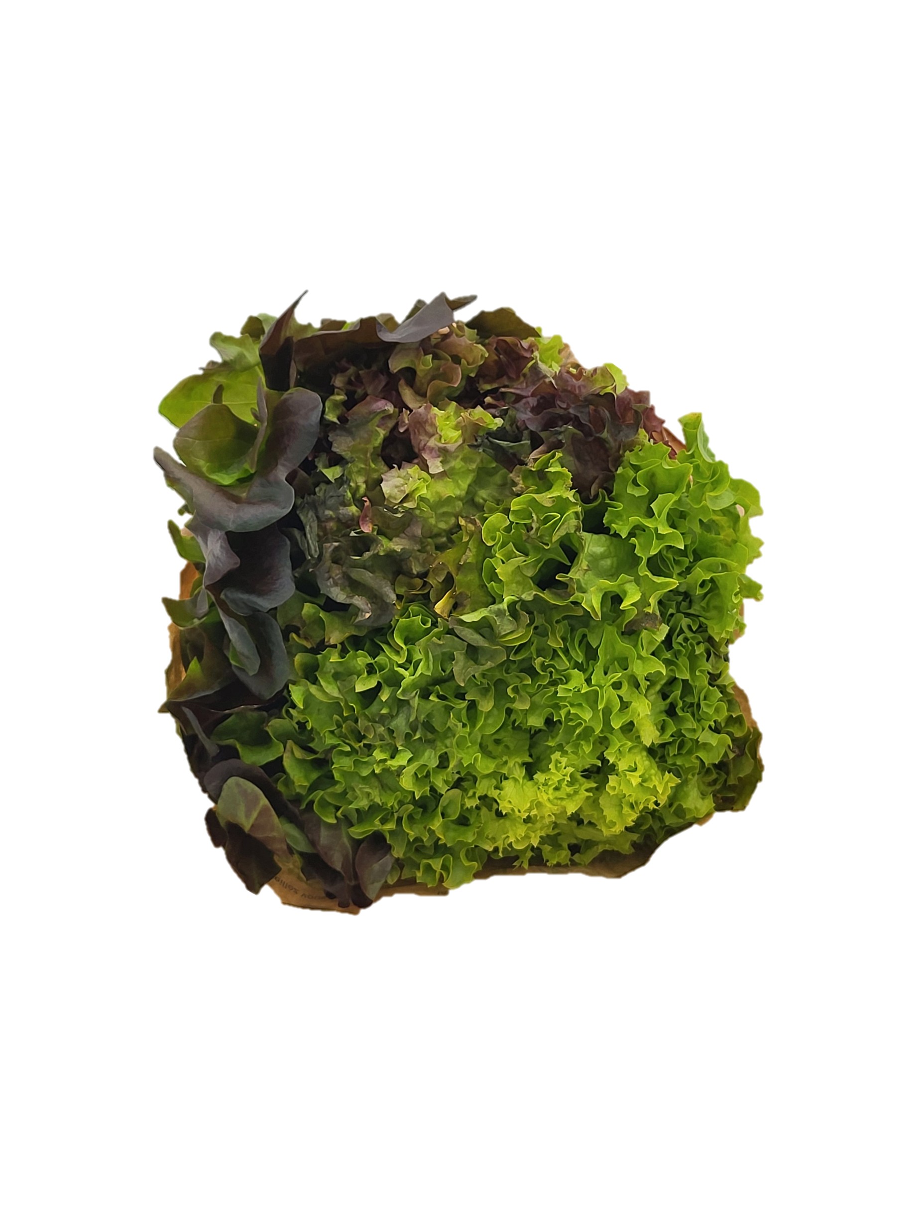 Kopen-bij-de-Boer-Vitaminehoek-De-Kragge-Meliskerke-Walcheren-Zeeland-sla-tri-color